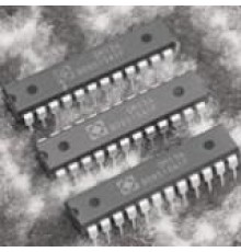 DM13A